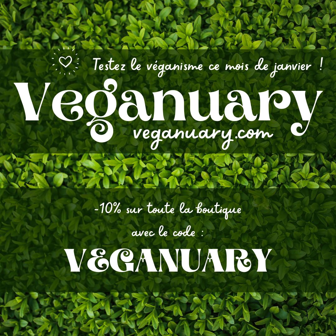 Pain d'épices (végétalien, vegan) — France vegetalienne